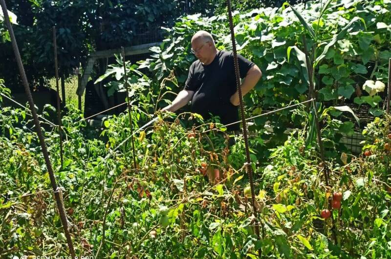 Изображение Изображение гостиницы &quot;Гостевой дом «Лаура»&quot; #7 #5