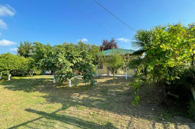 Изображение Изображение гостиницы &quot;Гостевой дом «Лаура»&quot; #8 #6