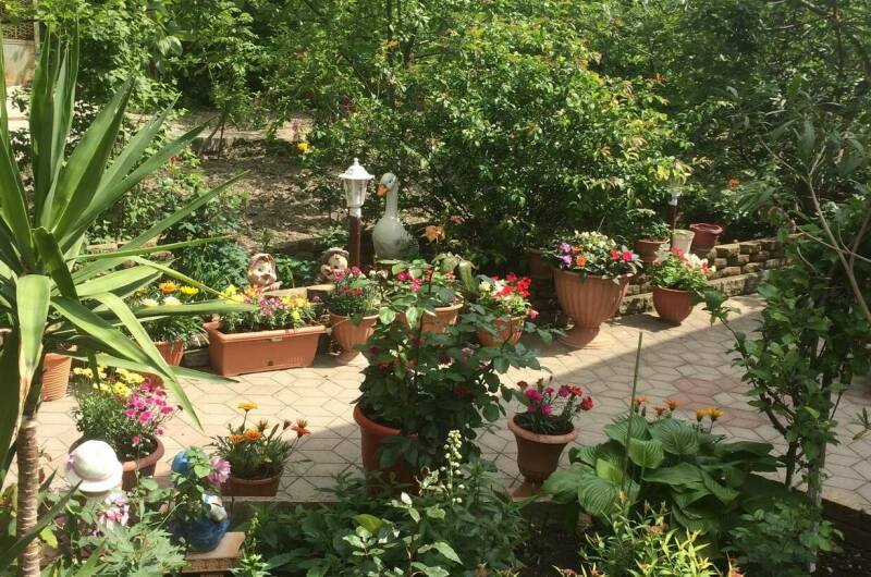 Изображение Изображение гостиницы &quot;Гостевой дом «У Надежды»&quot; #3 #1