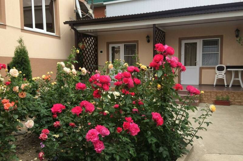 Изображение Изображение гостиницы &quot;Гостевой дом «Акварельная 4»&quot; #8 #6