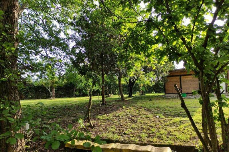 Изображение Изображение гостиницы &quot;Гостевой дом «В гостях у Майи»&quot; #6 #4