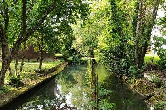 Изображение Изображение гостиницы &quot;Гостевой дом «В гостях у Майи»&quot; #7 #5