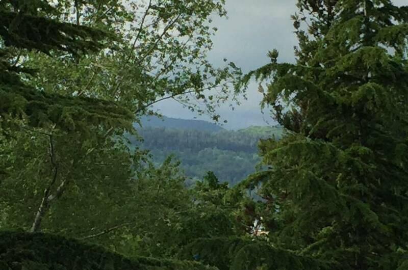 Изображение Изображение гостиницы &quot;Гостевой дом «Ланета»&quot; #8 #6