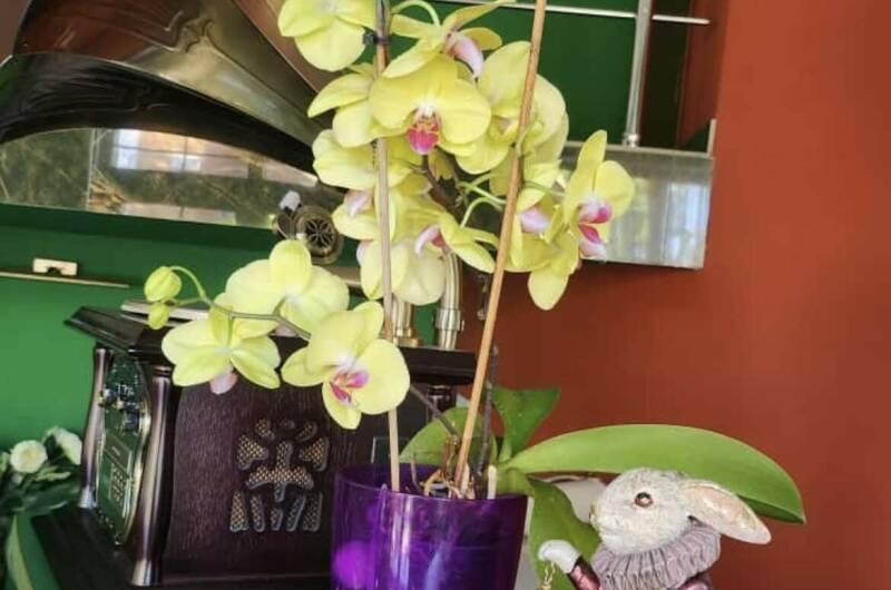 Изображение Изображение гостиницы &quot;Гостевой дом «Ланета»&quot; #9 #7