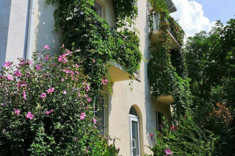 Изображение Изображение гостиницы &quot;Частный дом на ул. Революционной, 136 (У Ларисы)&quot; #11 #9