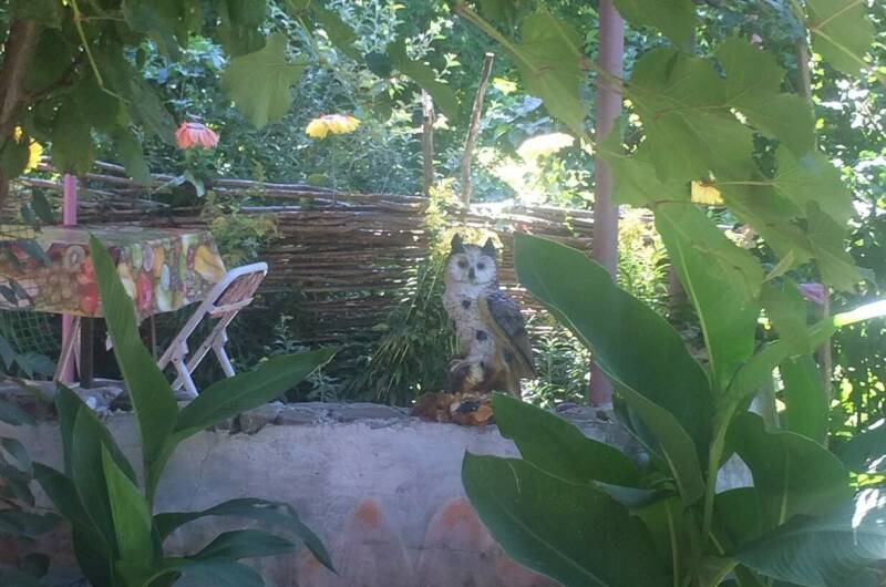 Изображение Изображение гостиницы &quot;Гостевой дом «Семейный отдых»&quot; #7 #5