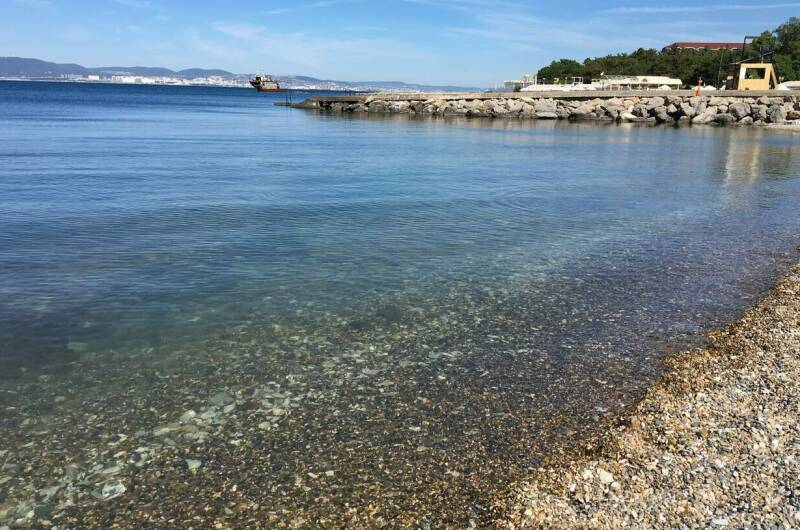 Изображение Изображение гостиницы &quot;Частный дом на Революционной 136/1 (У Олеси)&quot; #8 #6