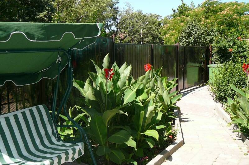 Изображение Изображение гостиницы &quot;Частный дом на Революционной 136/1 (У Олеси)&quot; #11 #9