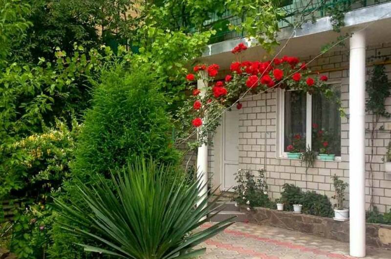 Изображение Изображение гостиницы &quot;Гостевой дом «Анапалис»&quot; #8 #6