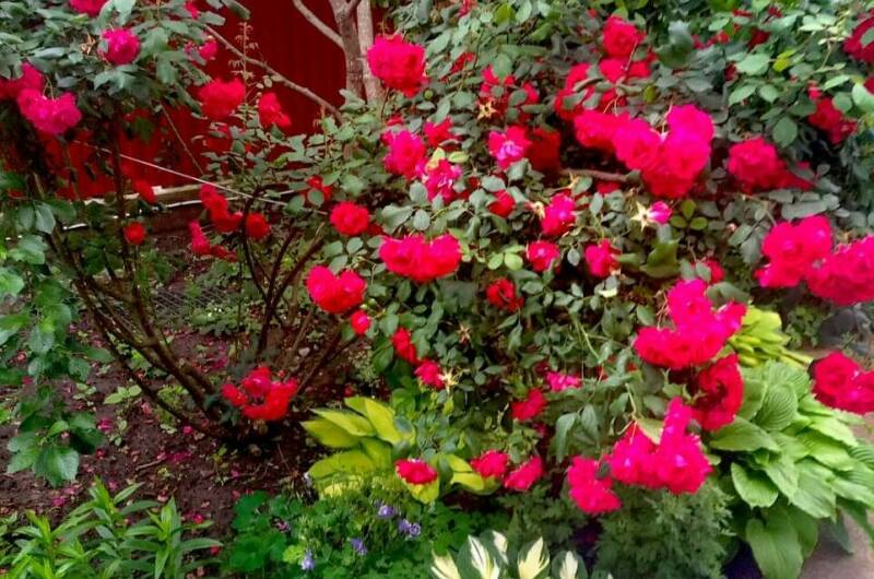 Изображение гостиницы "Гостевой дом «Александрия»" #1