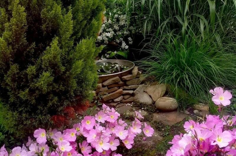 Изображение Изображение гостиницы &quot;Гостевой дом «Александрия»&quot; #4 #2