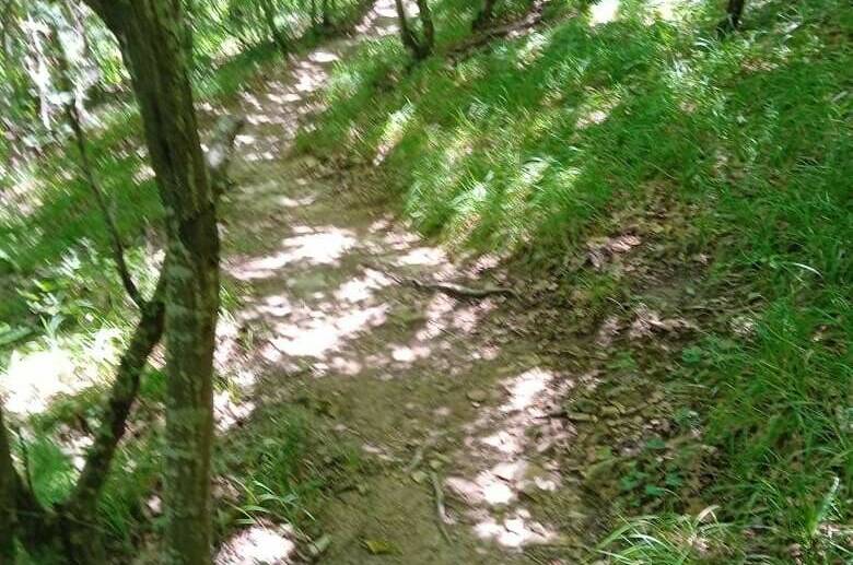 Изображение Изображение гостиницы &quot;Гостевой дом «Александрия»&quot; #6 #4