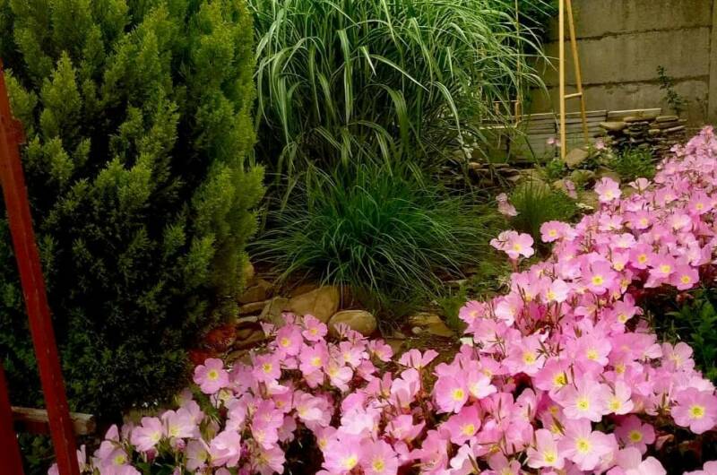 Изображение Изображение гостиницы &quot;Гостевой дом «Александрия»&quot; #8 #6