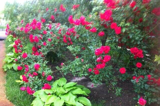 Изображение Изображение гостиницы &quot;Гостевой дом «Александрия»&quot; #9 #7