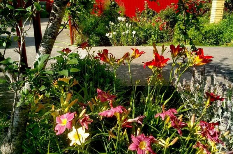 Изображение Изображение гостиницы &quot;Гостевой дом «Александрия»&quot; #10 #8