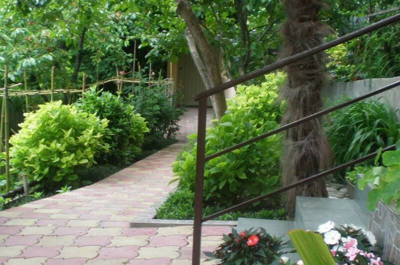 Изображение гостиницы "Частный дом «Бамбуковая роща»" #1