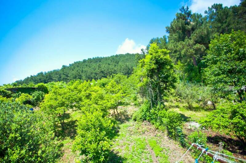 Изображение Изображение гостиницы &quot;Гостевой дом «Меридиан»&quot; #5 #3