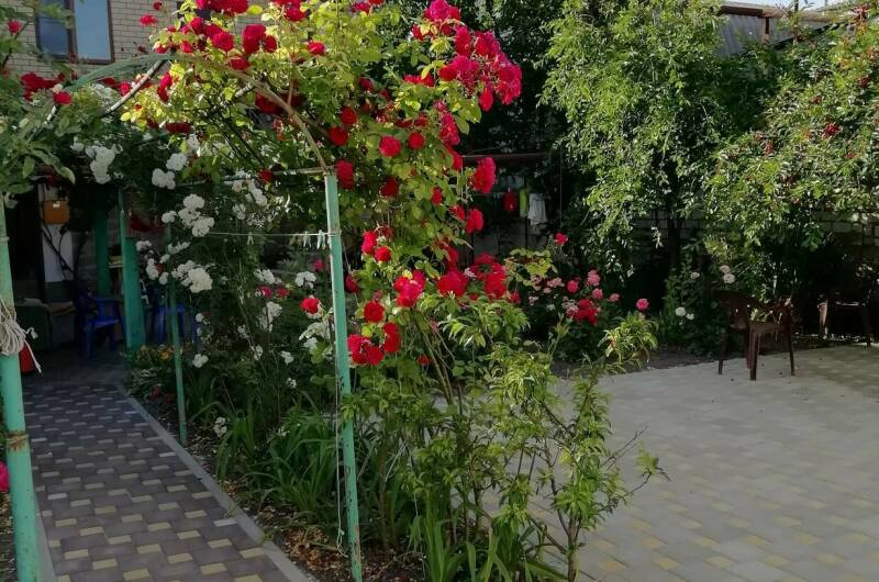 Изображение Изображение гостиницы &quot;Частный сектор «На Северной 5»&quot; #11 #9