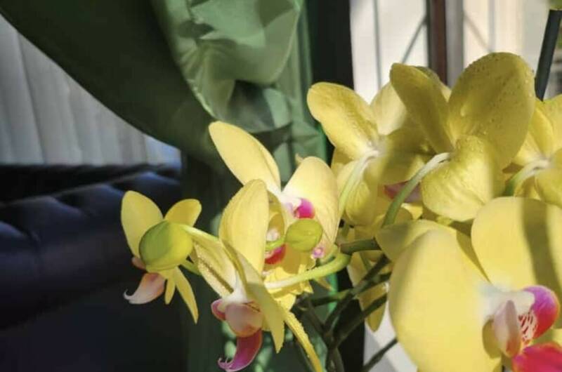 Изображение Изображение гостиницы &quot;Гостевой дом «Ланета»&quot; #11 #9