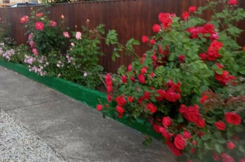 Изображение Изображение гостиницы &quot;Частный сектор на Новой&quot; #3 #1