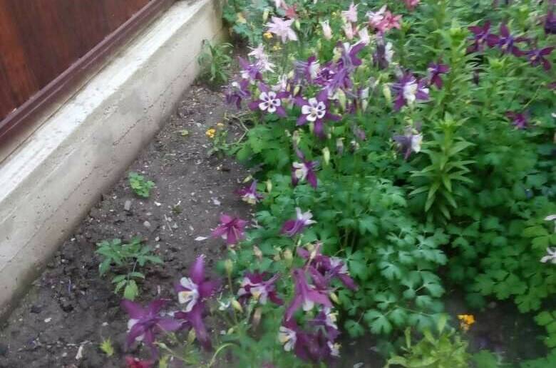 Изображение Изображение гостиницы &quot;Частный сектор на Новой&quot; #4 #2