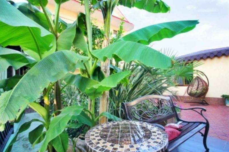 Изображение Изображение гостиницы &quot;Гостевой дом «У Любаши»&quot; #10 #8