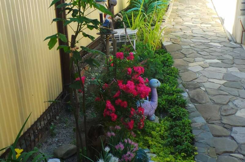 Изображение Изображение гостиницы &quot;Частное домовладение «Галина»&quot; #8 #6