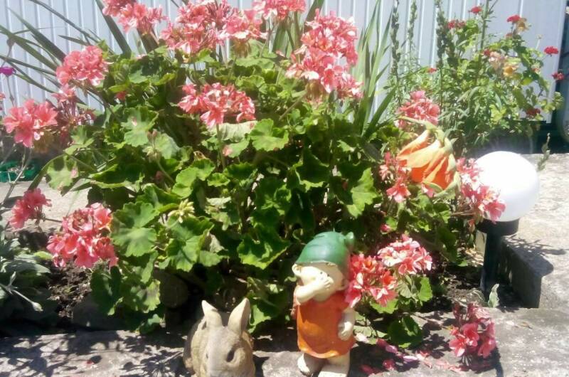 Изображение Изображение гостиницы &quot;Гостевой дом «У Елены»&quot; #8 #6