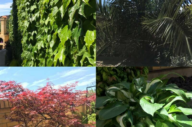 Изображение Изображение гостиницы &quot;Гостевой дом «Антаис»&quot; #9 #7