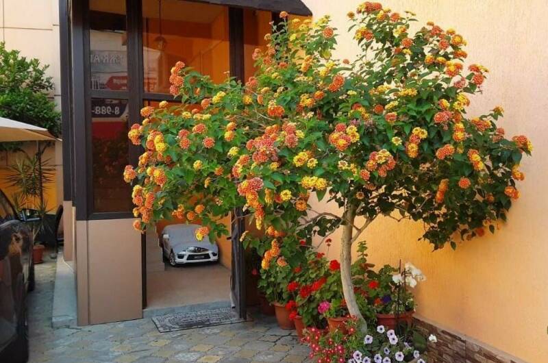 Изображение Изображение гостиницы &quot;Гостевой дом «В гостях у Минаса»&quot; #3 #1