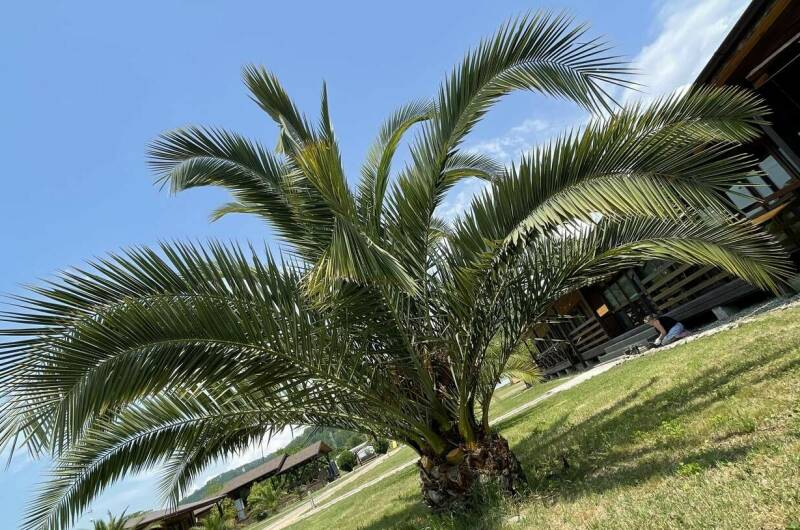 Изображение Изображение гостиницы &quot;Отель «Тихая Лагуна»&quot; #10 #8