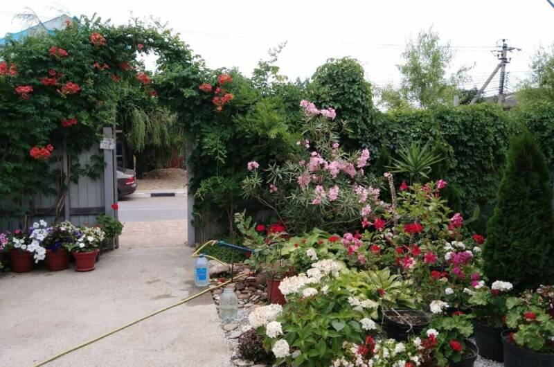 Изображение Изображение гостиницы &quot;Гостевой дом «Орлинка»&quot; #3 #1