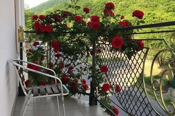 Изображение Изображение гостиницы &quot;Гостевой дом «Усадьба Арлен»&quot; #6 #4