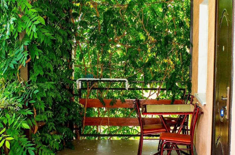 Изображение Изображение гостиницы &quot;Гостевой дом «Лето в Коктебеле»&quot; #5 #3