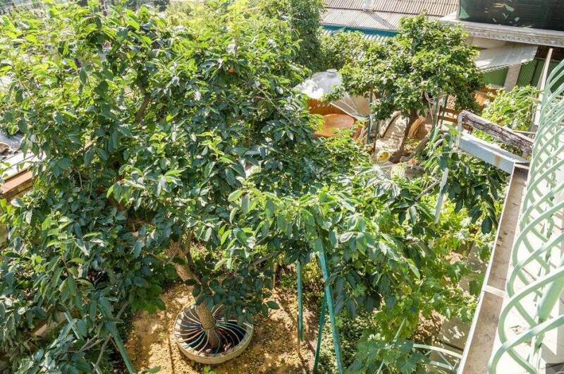 Изображение Изображение гостиницы &quot;Гостевой дом «У Афанасия»&quot; #8 #6