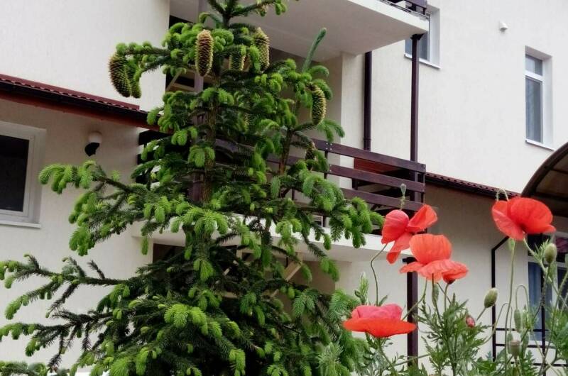 Изображение Изображение гостиницы &quot;Гостевой дом «Уют»&quot; #6 #4