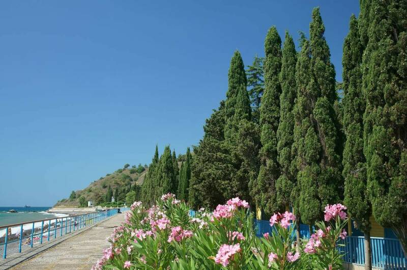 Изображение Изображение гостиницы &quot;Вилла «Аркадия»&quot; #8 #6