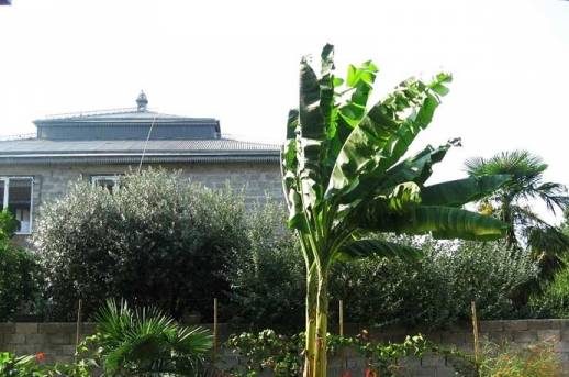 Изображение Изображение гостиницы &quot;Гостевой дом «Элина»&quot; #11 #9