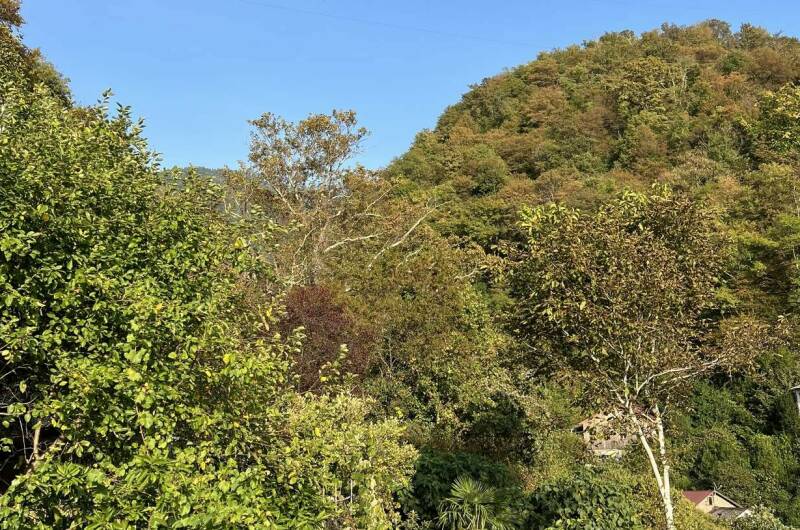 Изображение Изображение гостиницы &quot;Гостевой дом «Эмида»&quot; #3 #1