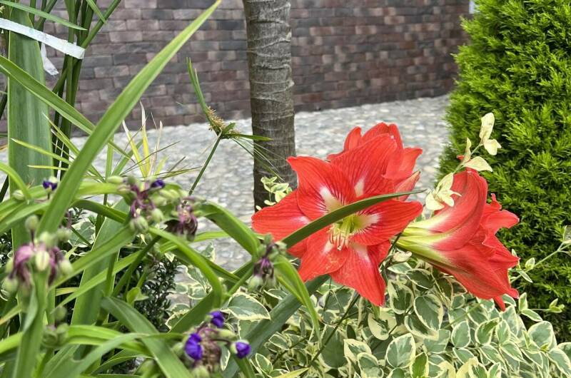 Изображение Изображение гостиницы &quot;Гостевой дом «Эмида»&quot; #4 #2