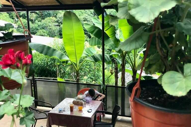 Изображение Изображение гостиницы &quot;Гостевой дом «Эмида»&quot; #9 #7