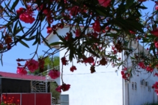 Изображение Изображение гостиницы &quot;Гостевой дом «У Руслана и Джульетты»&quot; #8 #6