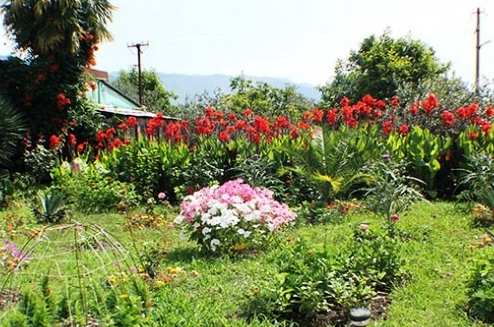 Изображение Изображение гостиницы &quot;Гостевой дом «У Руслана и Джульетты»&quot; #9 #7