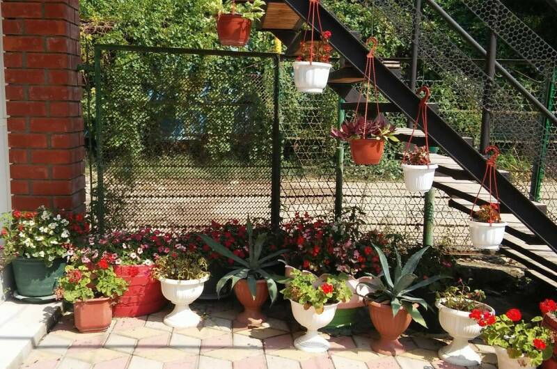 Изображение Изображение гостиницы &quot;Гостевой дом «Тихая гавань»&quot; #4 #2