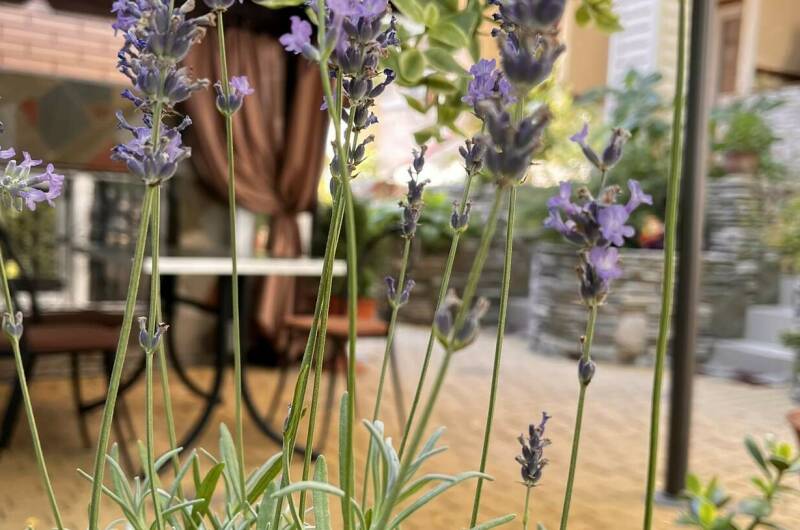 Изображение Изображение гостиницы &quot;Гостевой дом «Владислав»&quot; #4 #2