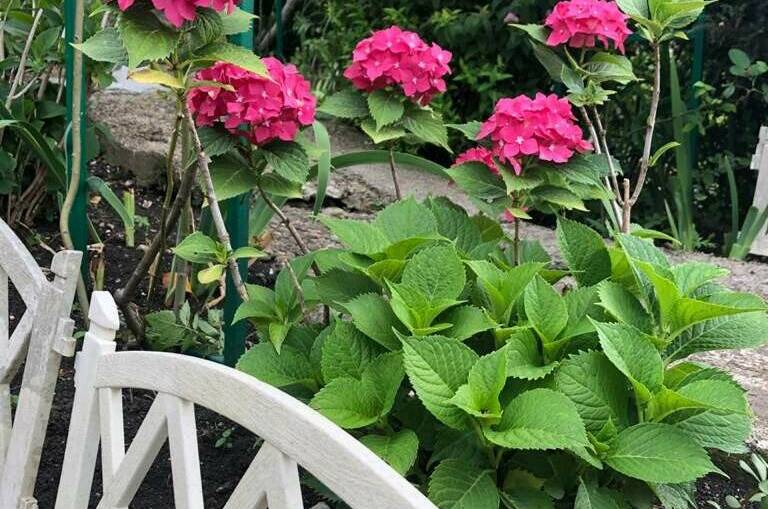 Изображение Изображение квартиры &quot;Коттедж под ключ «Сосновый бор»&quot; #10 #8