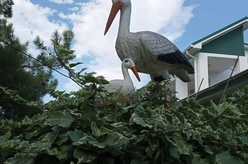 Изображение квартиры "Апартаменты под ключ «Анна»" #1