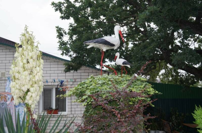 Изображение Изображение квартиры &quot;Апартаменты под ключ «Анна»&quot; #3 #1