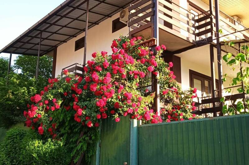 Изображение гостиницы "Гостевой дом «На Береговой 18»" #1