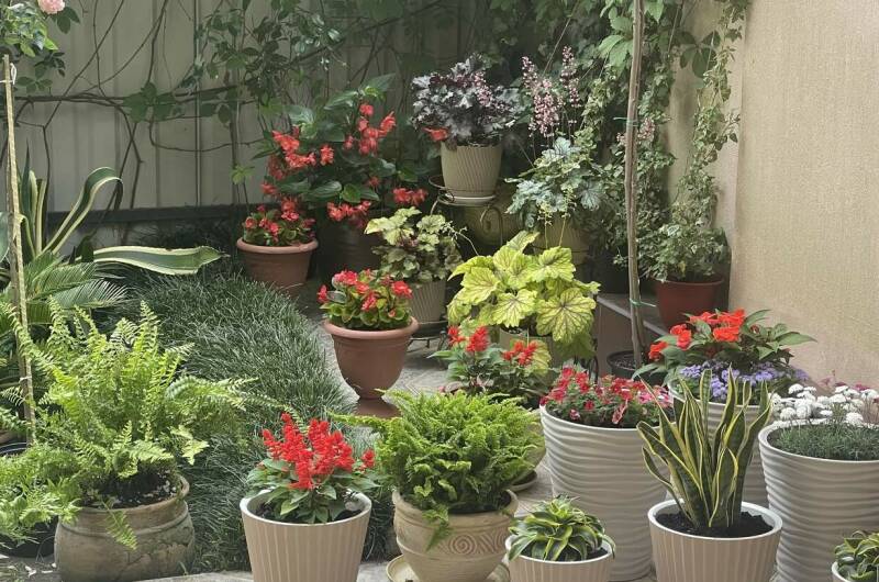 Изображение Изображение гостиницы &quot;Гостевой дом «В гостях у Валентины»&quot; #4 #2